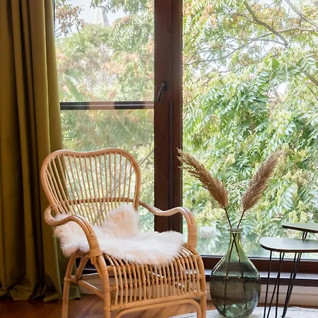 Urban Jungle * Бухарест